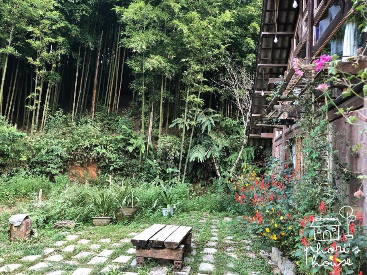 Phori'S House - Bamboo Forest Sapa Dış mekan fotoğraf