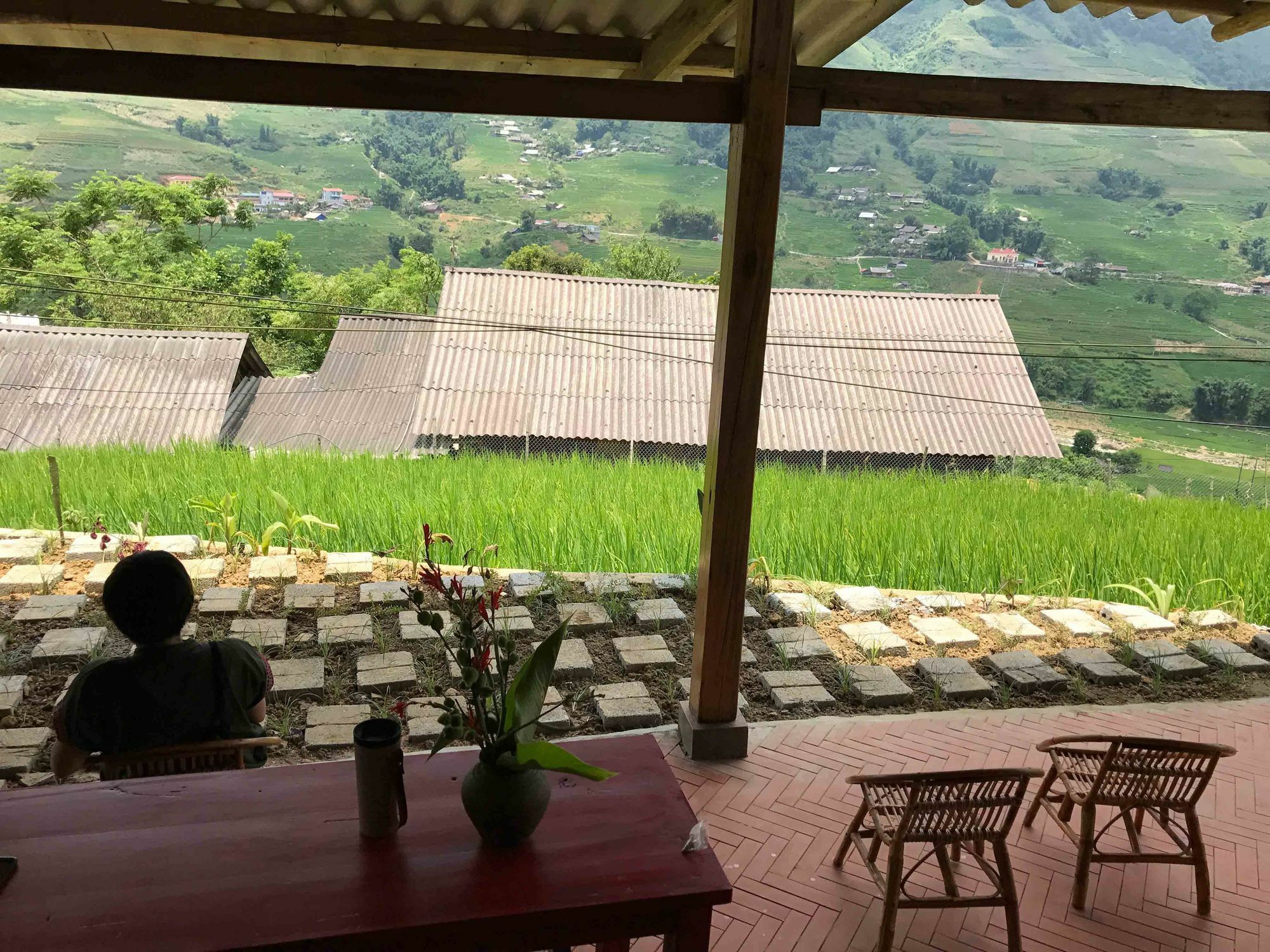Phori'S House - Bamboo Forest Sapa Dış mekan fotoğraf