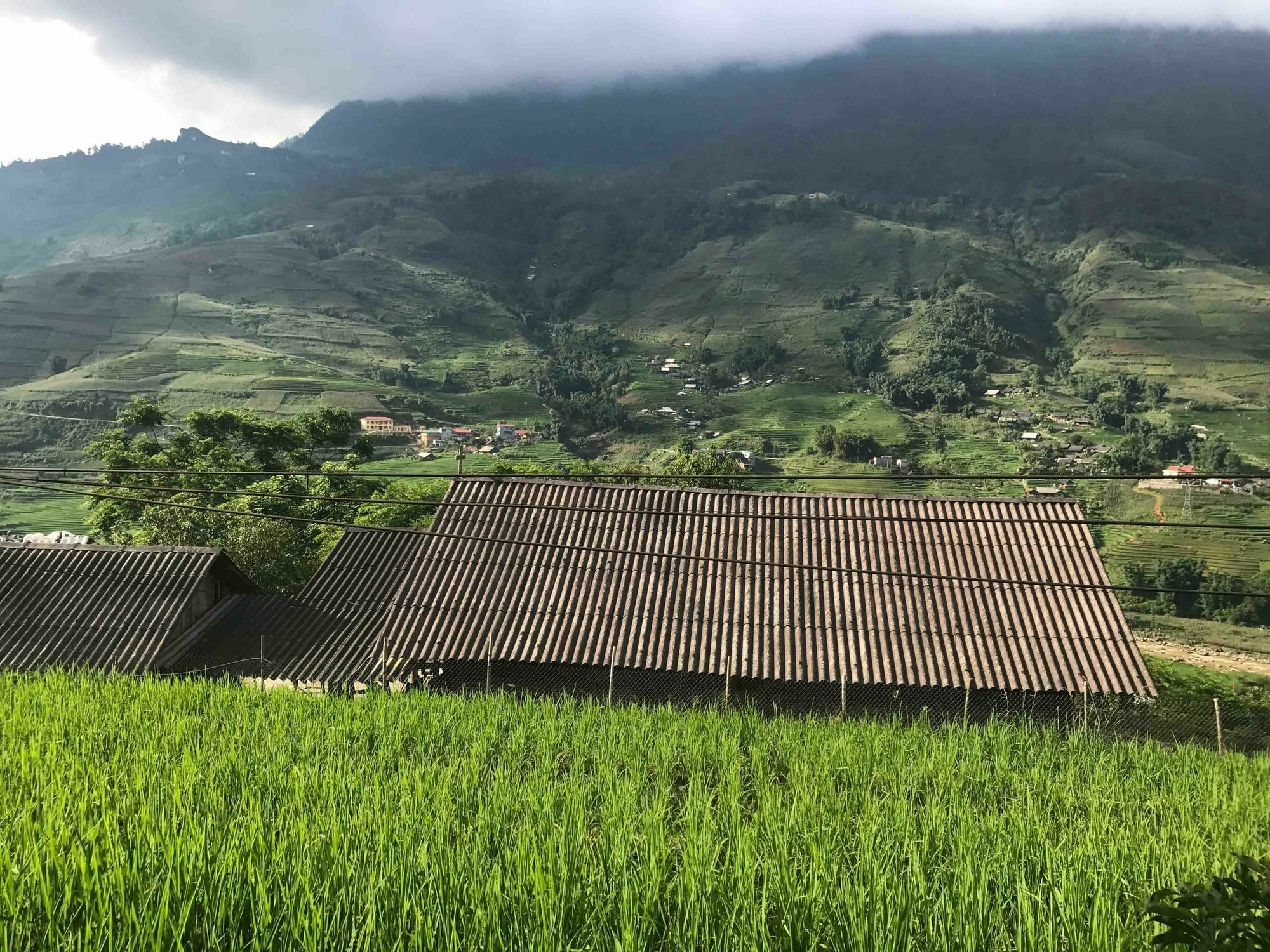 Phori'S House - Bamboo Forest Sapa Dış mekan fotoğraf